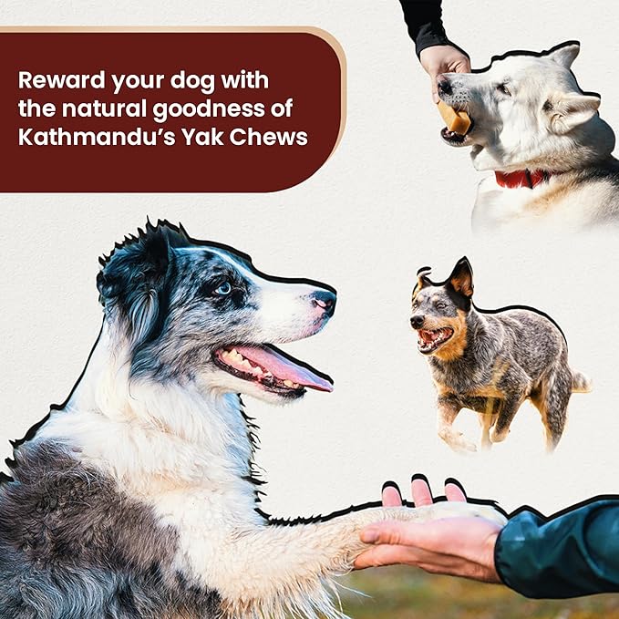 KATHMANDU'S Authentic 100% Natural Himalayan Yak Cheese Dog Chews – Large (Pack of 4) | High Protein, Delicious & Long-Lasting Dog Treats for Aggressive Chewers | Odor & Gluten Free Chews