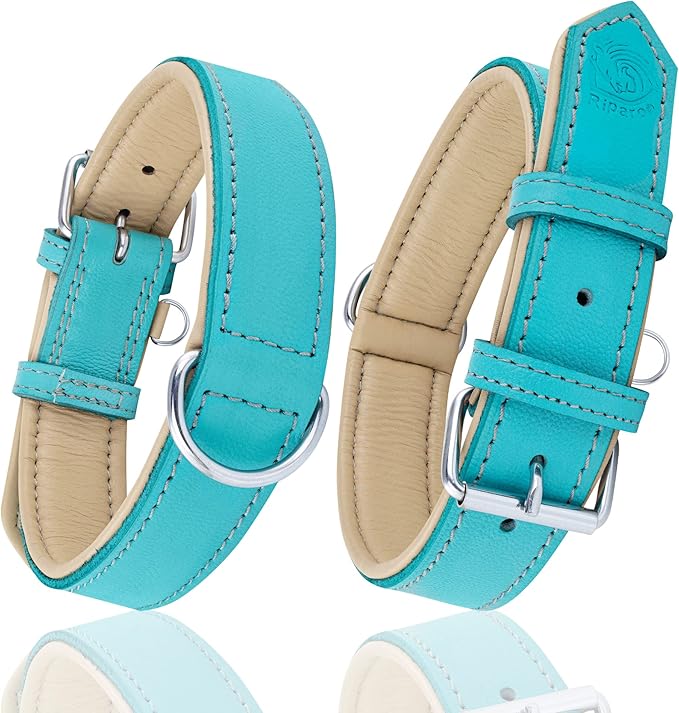 Riparo Adjustable Leather Dog Collar - Heavy Duty Wide Dog Collar for Small, Medium, Large and Extra Large Dogs with Dog Tag Holder (XXL: 2” Wide for 26”-29” Neck, Aqua)