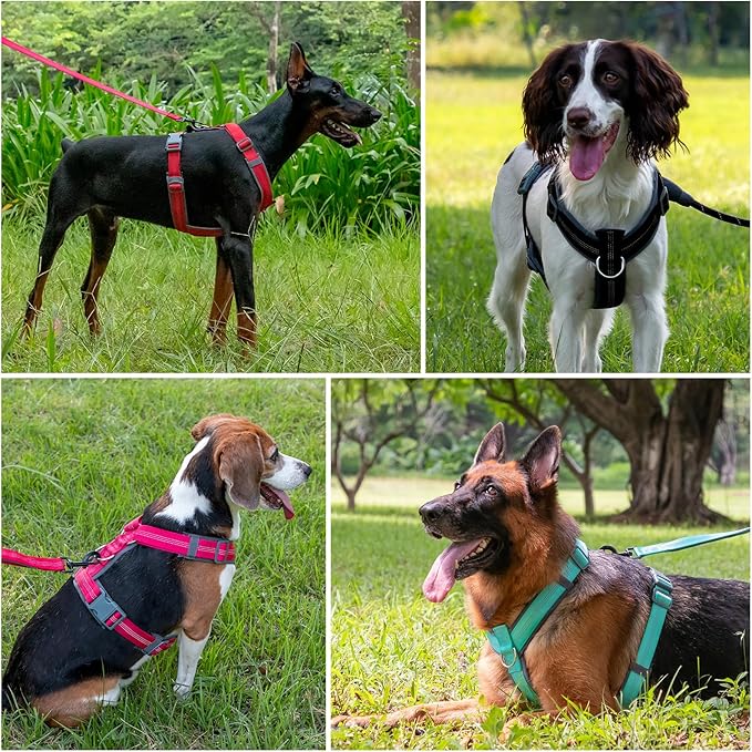 Plutus Pet No Pull Dog Harness, Adjustable Nylon Harness with Soft Padding, Reflective and Heavy Duty Dog Harness for Small, Medium, Large Dogs(Beige, XL)