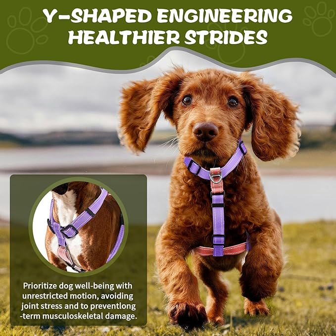 Dog Harness,Adjustable No Pull Dog Harness,Y-Shaped Design,Buckle-Neck Balance Harness with Reflective, Ideal for Dog Training Hiking, Easy Walk Harness,Durable High-Tensile Nylon Pink-S