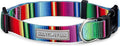 Lucky Love Dog - Adjustable Dog Collar with Easy Click Buckle for Large Dogs, Durable, & Comfortable for Male & Female Dogs, Pet Collar for Puppies & Adult Ones - Nacho, Large
