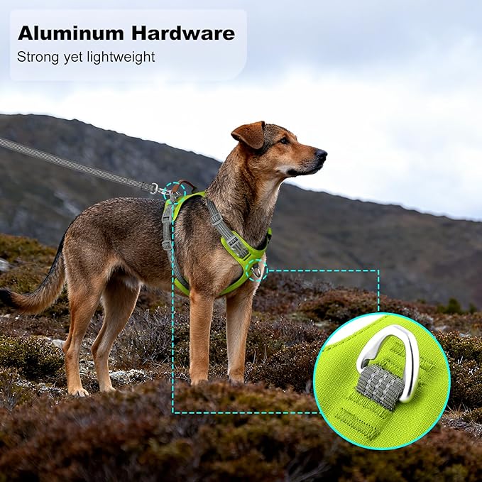 No Pull Dog Harness – Adjustable Reflective Nylon Vest for Small Medium Large Dogs, Escape Proof Training Harness with Leather Control Handle, Lightweight Aluminum Hardware (Green, XL)