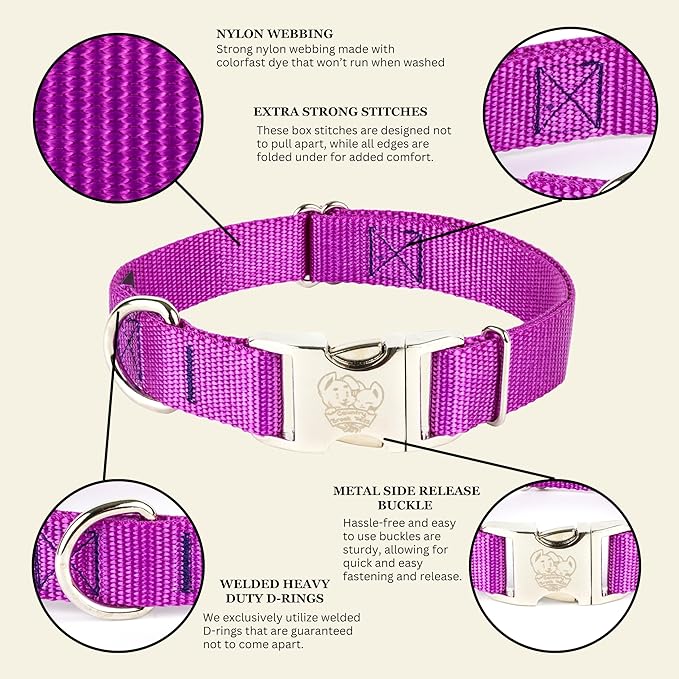 Country Brook Petz - Premium Nylon Dog Collar with Metal Buckle for Small Medium Large Breeds - 10+ Cool Colors (Small, 3/4 Inch, Bright Purple)