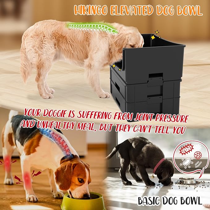 Mess Proof Pet Bowls, No Mess Dog Food and Water Bowl, Pet Feeding Station with 2 Stainless Steel, Spill-Proof Pet Feeder for Medium and Large Dog, Black
