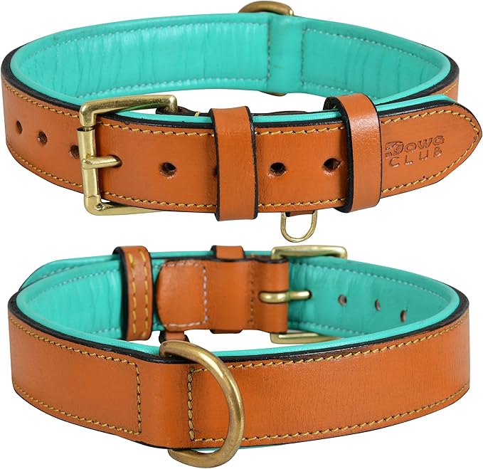 Genuine Leather Dog Collar | Full Grain, Heavy Duty, Comfortable, Padded, Strong | Best for Pups, Small, Medium, Large & XL Breeds (Small (Fit Neck Size 11.5"-14.5"), Tan)