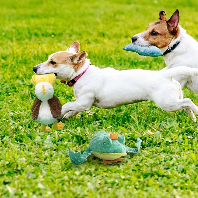 Nocciola Rip and Reveal Squeaky Dog Toys 2 Pack, Plush Animal Puzzle Set Frog & Pelican Suprise Toys Inside with Squeaker Crinkle Part Enrichment Toys for Large Medium Dogs