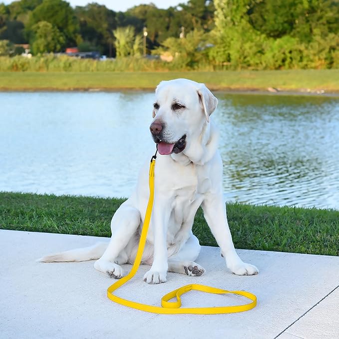 Dogline Biothane Waterproof Dog Leash Strong Coated Nylon Webbing with Black Hardware Odor-Proof Easy to Clean High Performance for Small or Large Dogs Made in USA 4 or 6 ft Lead, Lemon Yellow
