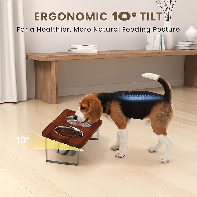 4.7" Tall Elevated Dog Bowls - Ergonomic Stainless Steel Dog Bowls with 10° Tilt in Acacia Wood Stand for Puppies, Small, and Short-Legged Breed