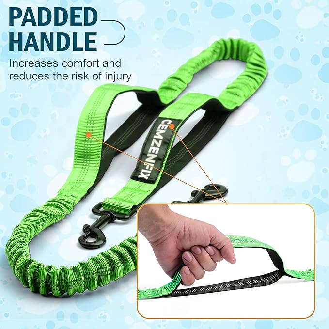Hands Free Dog Leash for 2 Dogs – Waist Leash for Dog Walking with Dual Bungee, Reflective No Pull Design, Adjustable Belt & Pouch for Running, Hiking, Jogging