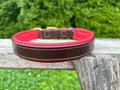 Leaders Leather Dog Collar with Customized Name Plate (Red/Brown Large (18"-22"))