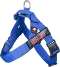 BULLHUG Adjustable Dog Harness– No Pull, No Choke – for English Bulldogs, French Bulldogs, Pugs & Broad-Chested Breeds – Easy, Safe Walks (Royal Blue, Large)