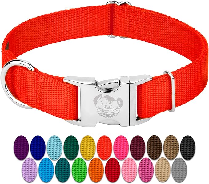 Country Brook Petz - Premium Nylon Dog Collar with Metal Buckle for Small Medium Large Breeds - 10+ Warm Colors (Extra Large, 1 Inch, Hot Orange)