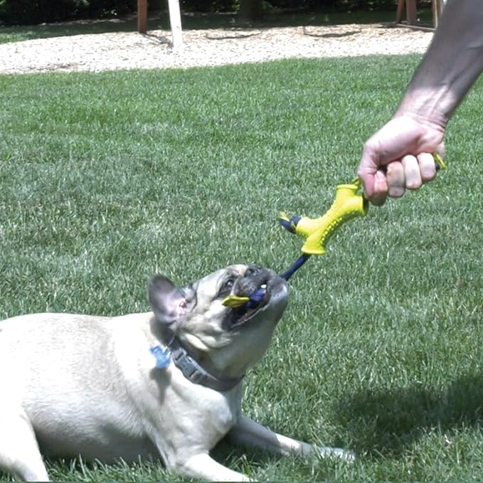 Nylabone Power Play Shake-a-Toss Interactive Play Toy, Fetch Toy for Dogs, Small (1 Count)