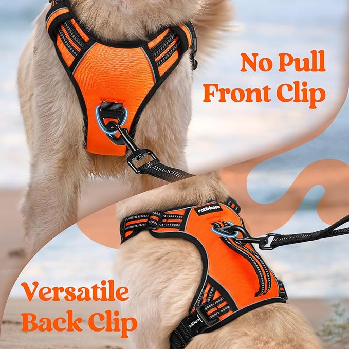 rabbitgoo Dog Harness Small Sized Dog, No Pull Pet Harness with Soft Padded Handle, Adjustable Reflective Vest with 3 Buckles, Easy Walking Harness with 2 Leash Clips, Orange, S