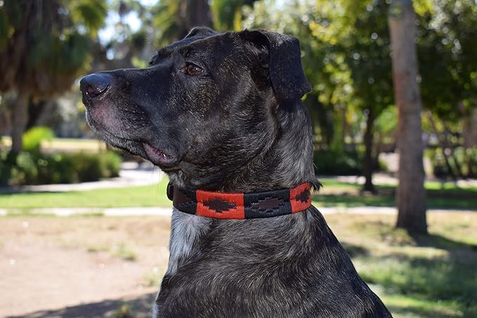 Gaucho Goods Leather Dog Collar - Moab (M)