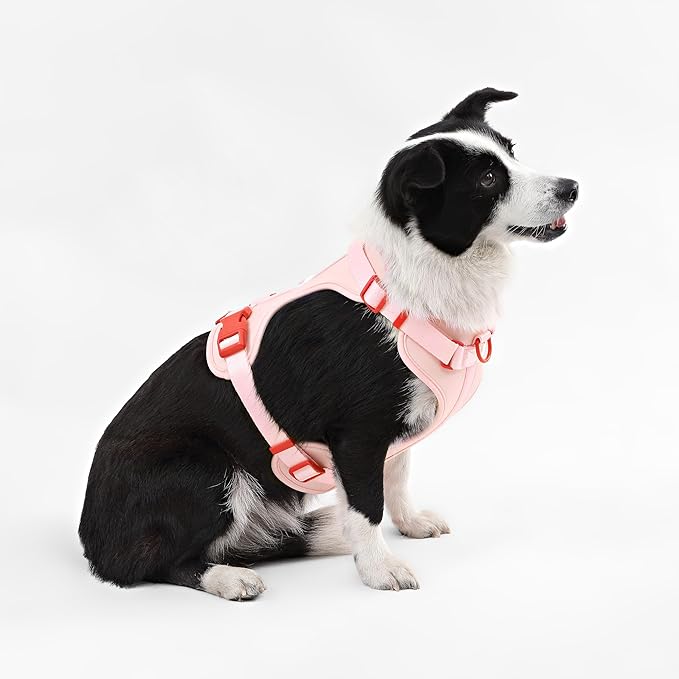 HNS1003G Arlo Large Adjustable Soft Padded No Pull Pet Harness with 3 Buckles and 3 Leash Clips, Paloma