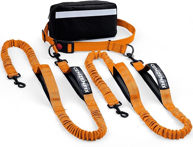 Hands Free Dog Leash for 2 Dogs – Waist Leash for Dog Walking with Dual Bungee, Reflective No Pull Design, Adjustable Belt & Pouch for Running, Hiking, Jogging