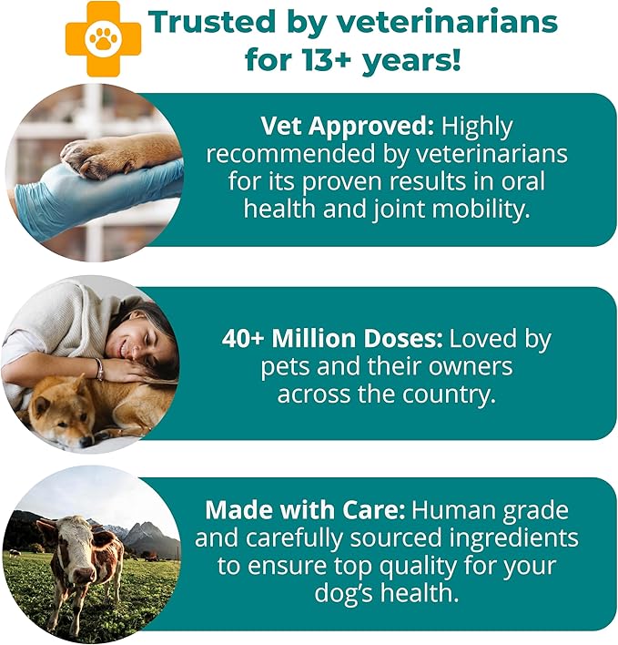 1TDC WorksSoWell Dual Action Hip and Joint Supplement for Dogs & Cats - for Large & Small Breed - Great for Oral Health, Stamina Recovery & Arthritis Pain Relief -30 ct