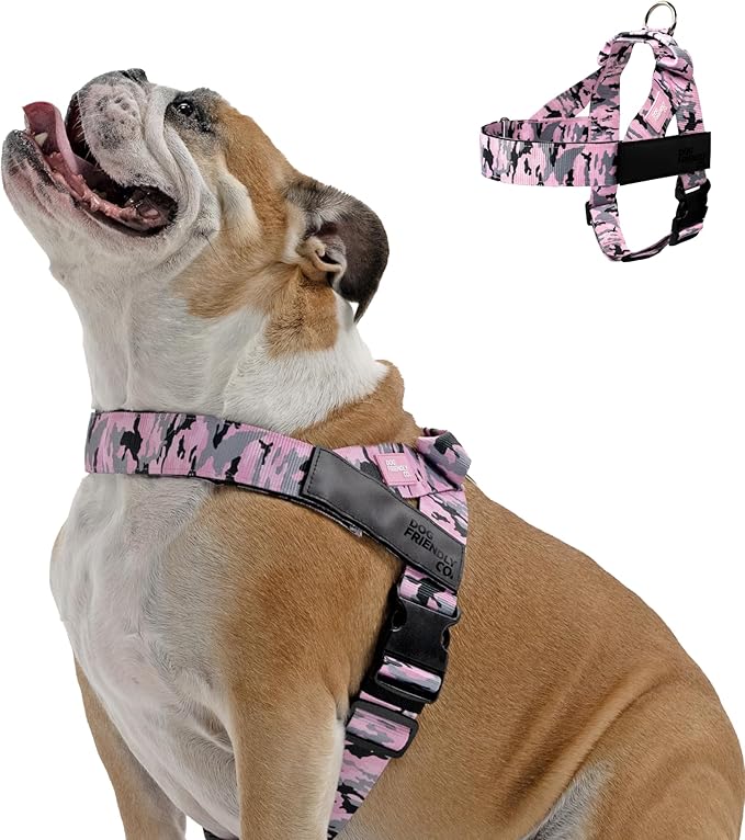 DF Co. Dog Harness | Chafe Resistant Webbing, Adjustable Neck & Chest, and Heavy Duty D-Ring | Sturdy, Comfortable, Easy to Use | Pink Camo, Size M