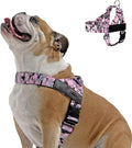 DF Co. Dog Harness | Chafe Resistant Webbing, Adjustable Neck & Chest, and Heavy Duty D-Ring | Sturdy, Comfortable, Easy to Use | Pink Camo, Size XXS