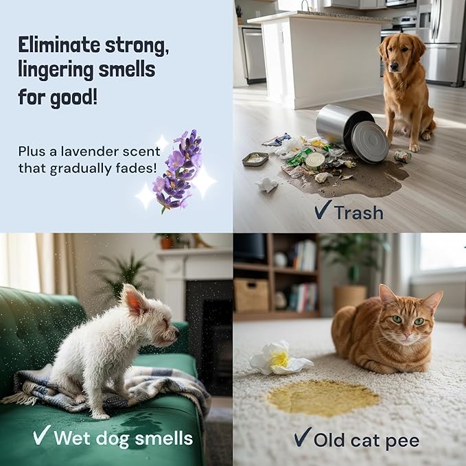 Sunny & Honey Pet Stain & Odor Miracle - Carpet Cleaner For New & Deep-set Messes - Enzyme Cleaner for Dog Urine & Cat Pee - Pet Stain Remover - Surface Odor Eliminator (128 fl oz, Light Lavender)