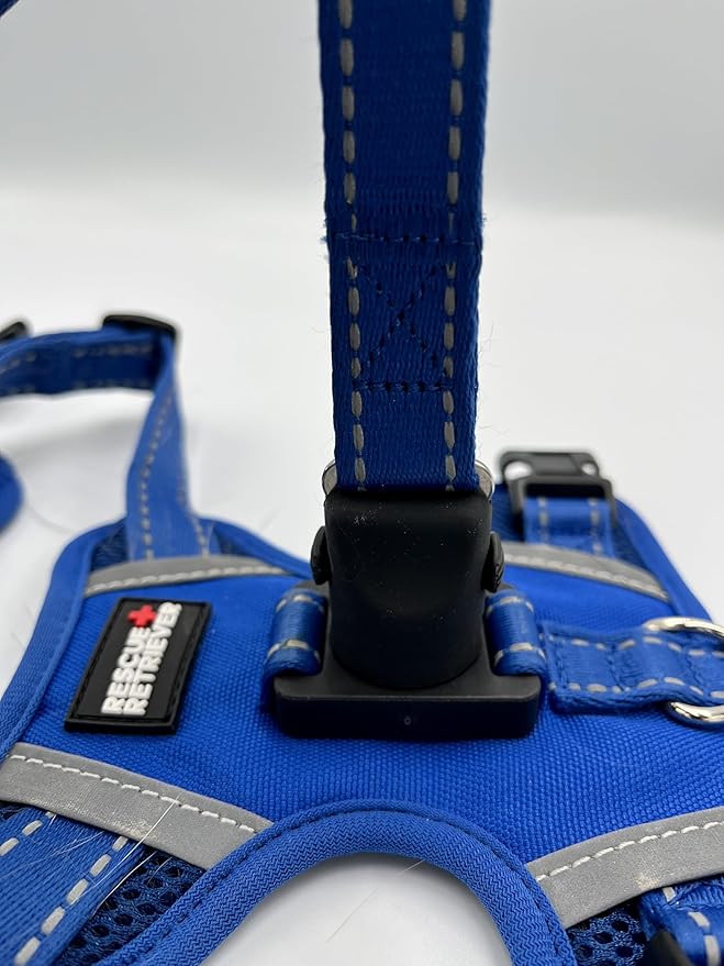 Clickette™ Magnetic Locking Harness and Leash (Blue, Large)
