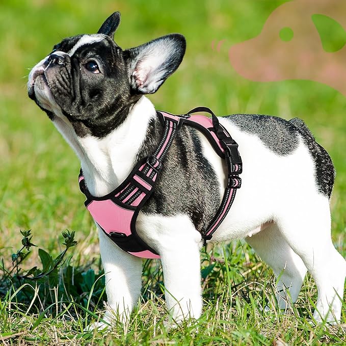 Eagloo Dog Harness Small Sized Dog, No Pull Service Vest with Reflective Strips and Control Handle, Adjustable and Comfortable for Walking, No Choke Pet Harness with 2 Metal Rings, Pink, S