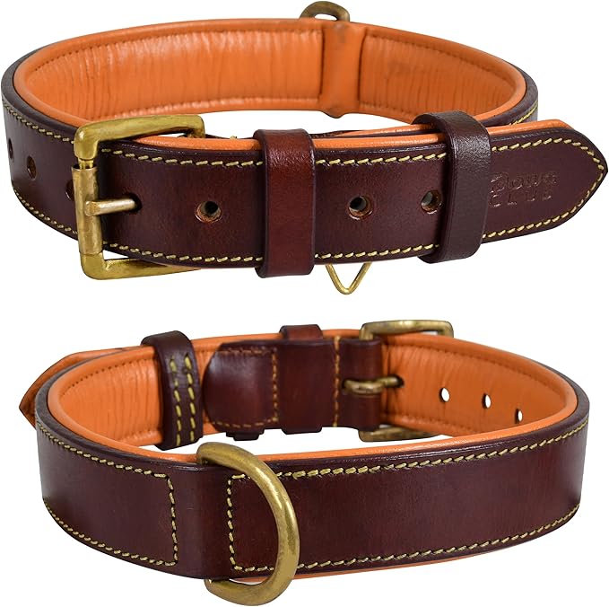 Leather Dog Collar | Leather Collar for Small Dogs, .75 Inch Wide Dog Collar Brown | Genuine, Full Grain, Heavy Duty, Comfortable, Inner Padding (Small (Fit Neck Size 11.5"-14.5"), Brown)
