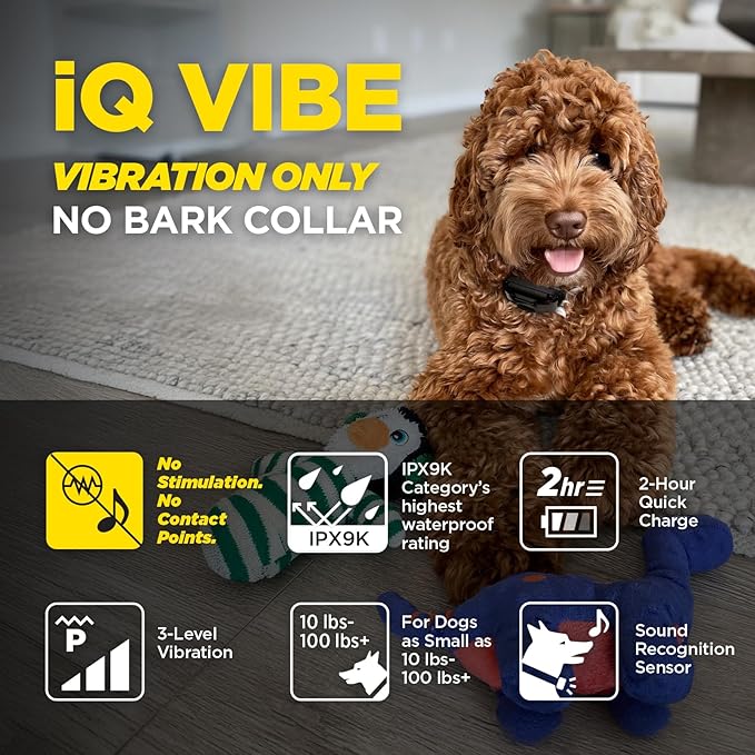 Dogtra iQ Vibe Vibration Only No Bark Collar: 4X Stronger HPP Vibration, IPX9K Waterproof, Precision Sensor, Rechargeable