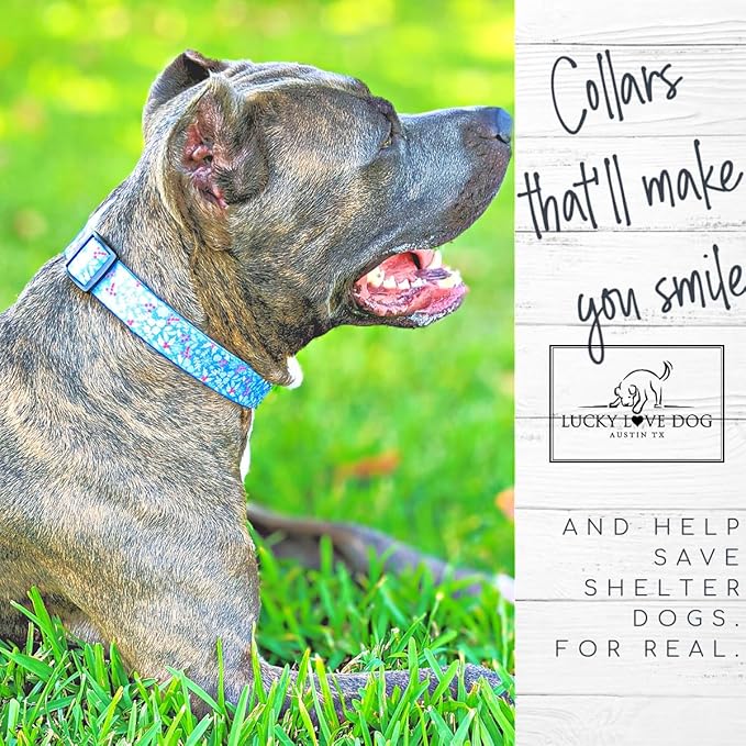 Lucky Love Dog Martingale Dog Collar - Adjustable, No-Slip, Durable, & Soft Webbing Collar for Male and Female Dogs Ideal for Training & Walking - Winterblue, Medium