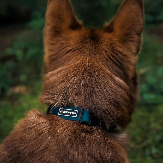 Wilderdog Waterproof Dog Collar - Repels Water & Dirt - Small 11"-15" - Pacific Blue