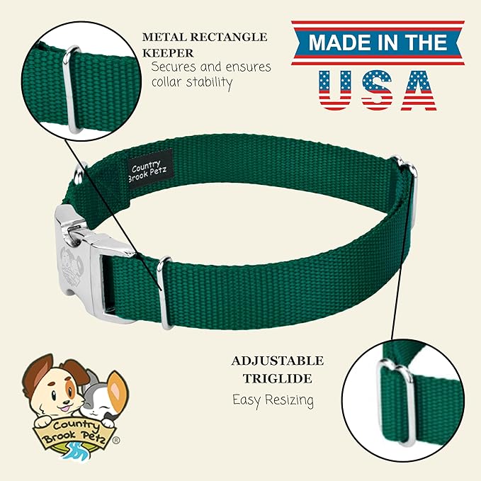 Country Brook Petz - Premium Nylon Dog Collar with Metal Buckle for Small Medium Large Breeds - 10+ Cool Colors (Large, 1 Inch, Green)