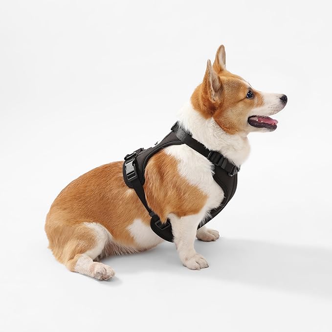 HNS1002I Arlo Medium Adjustable Soft Padded No Pull Pet Harness with 3 Buckles and 3 Leash Clips, Bitters