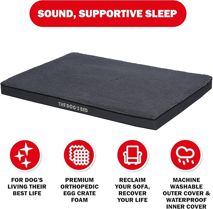 The Dog’s Bed Orthopedic Standard Foam Dog Bed Mattress, Plush Fabric, Grey, XL