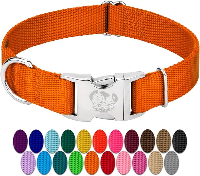 Country Brook Petz - Premium Nylon Dog Collar with Metal Buckle for Small Medium Large Breeds - 10+ Warm Colors (Small, 3/4 Inch, Orange)