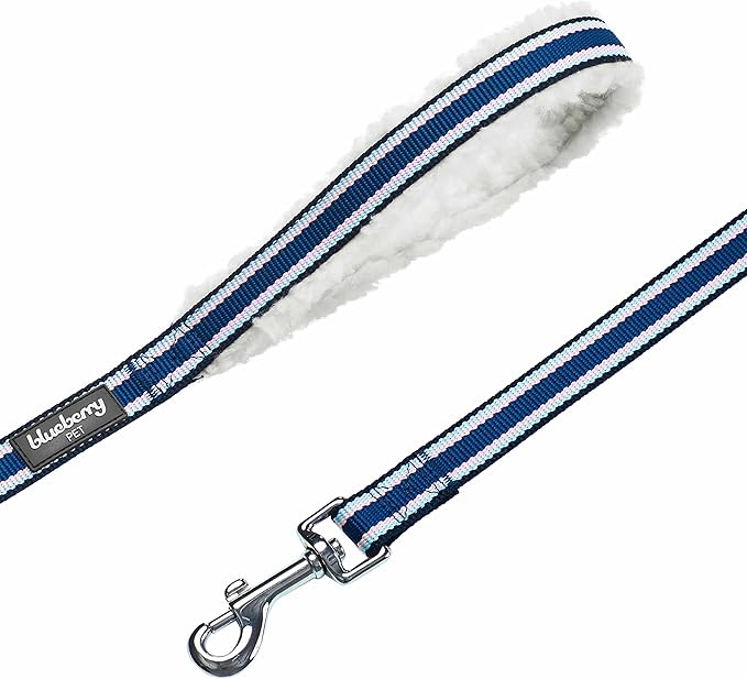 Blueberry Pet Multi-Colored Stripe Fleece Padded Dog Leash with Soft & Comfortable Handle, 5 ft x 3/4", Blue, Medium, Leashes for Dogs