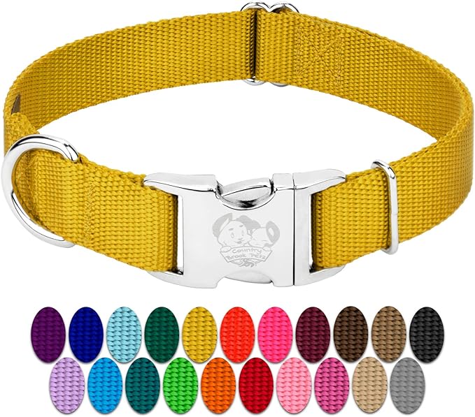 Country Brook Petz - Premium Nylon Dog Collar with Metal Buckle for Small Medium Large Breeds - 10+ Warm Colors (Extra Large, 1 Inch, Gold)