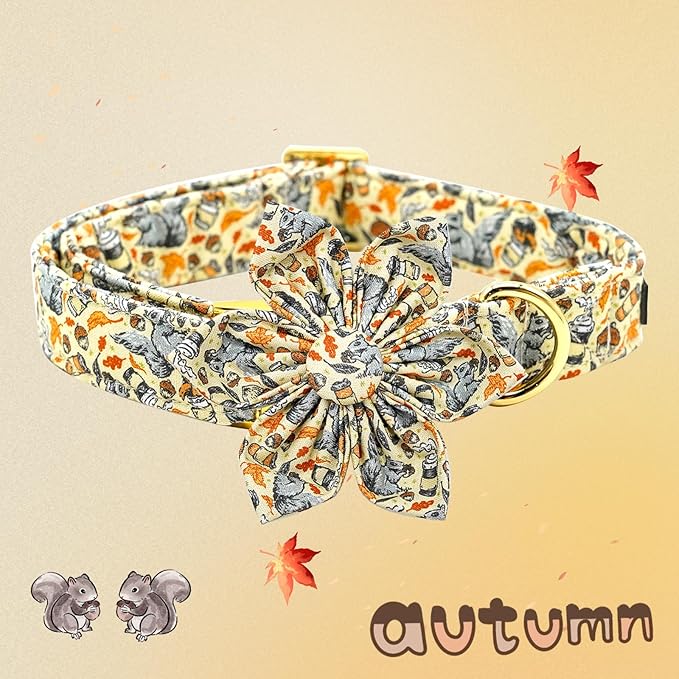 Elegant Little Tail Fall Squirrel Print Dog Collar with Soft, Durable Flower Pet Collar for Medium Dogs