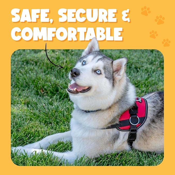 Bark Appeal Purple Plaid No-Pull Dog Harness for Small to Medium Sized Pets – Adjustable, Reflective Vest with 3 Leash Clips for Added Control, Easy Walks & Training – Medium