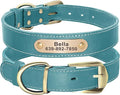 Didog Genuine Leather Dog Collars with Engraved Nameplate, Personalized Soft Leather Dog Collar with Custom ID Tag, Brown/Green/Red for Small Dogs (S,Blue)