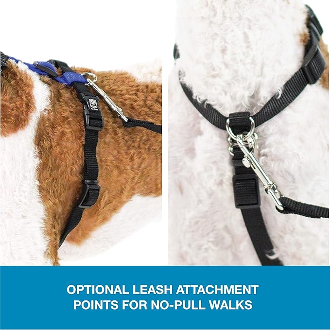 Blue-9 Pet Products No-Pull Balance Harness and Loose Leash Walking Set Dogs, Made in The USA, Blue, Medium/Large