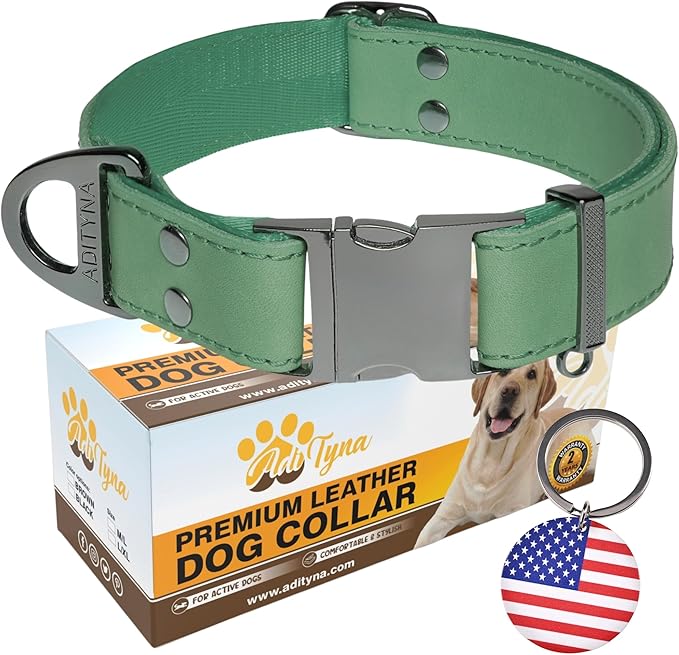 ADITYNA Leather Dog Collar with Metal Buckle - Heavy-Duty, Adjustable for Medium & Large Dogs - Walking, Training, Hiking (Green, Fits 15-21" Necks)