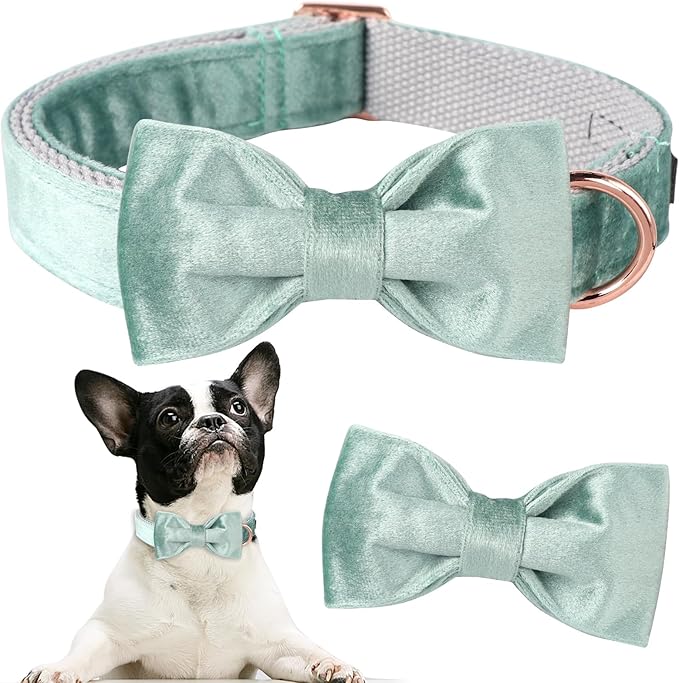 ARING PET Velvet Dog Collars with Bow tie, Dog Bowtie Collar, Adjustable Green Dog Collar,X-Large.