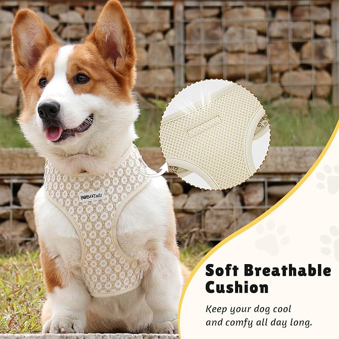 No Pull Dog Vest Harness for Small&Medium Dogs, Side Clip Adjustable Pet Vest, Soft Breathable, Fashion Dog Harnesses for Walking, Running, Shopping (Gold, S)