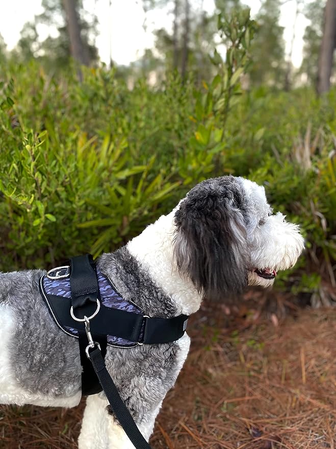 ShawnCo Essential Dog Harness, No-Pull Pet Vest with 3 Leash Clips, No Choke, Reflective, Adjustable and Padded, for Easy Walking and Training for Small, Medium and Large Dogs (Dark Camo, Medium)