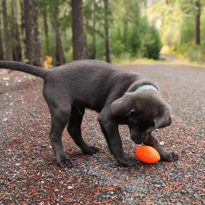 Ruff Dawg Football Dog Toy – Bouncy, Floating Fetch Toy for Aggressive Chewers – Ideal for Outdoor Play, Exercise & Teething Relief – Neon Colors for High Visibility