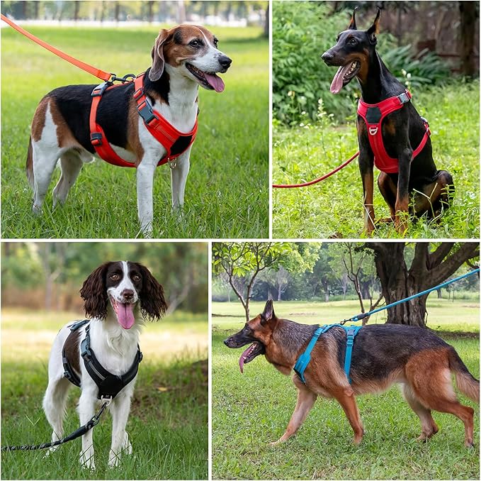 Plutus Pet No Pull Dog Harness, Release at Neck, Soft Padded, Reflective Adjustable Dog Vest Harness for Small, Medium, Large Dogs(Gray,M)