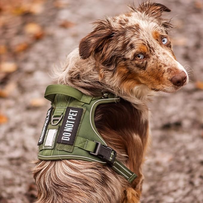 rabbitgoo Dog Harness for Large Dogs No Pull, Tactical Service Pet Vest with Molle and Control Handle, Adjustable and Reflective Military Harness for Easy Walking and Training, Grey, XL