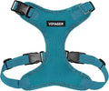 Voyager Step-in Pet Harness - All Weather Mesh, Adjustable Step in Harness for Cats and Dogs by Best Pet Supplies - Turquoise, L