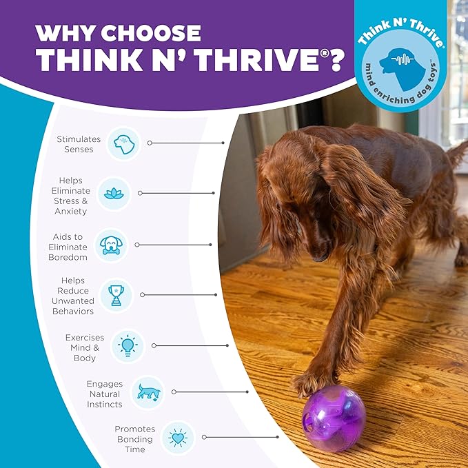 Outward Hound Orbee-Tuff Mazee Interactive Dog Puzzle Toy, Treat Dispensing Slow Feeder Ball, Purple, 4.7-Inch